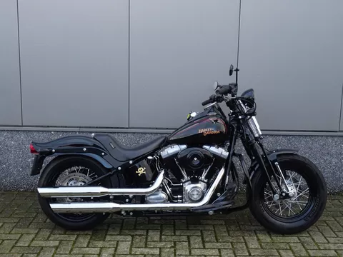 Harley-Davidson FLSTSB CROSS BONES